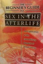 sex in the afterlife 